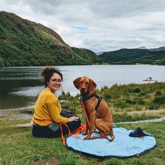 Nestbedz Lightweight Travel Dog Bed for Dogs on Adventures (and in the pub..) for Medium Breeds