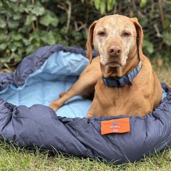 Nestbedz Lightweight Travel Dog Bed for Dogs on Adventures (and in the pub..) for Small Breeds 