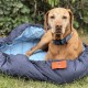 Nestbedz Lightweight Travel Dog Bed for Dogs on Adventures (and in the pub..) for Small Breeds 