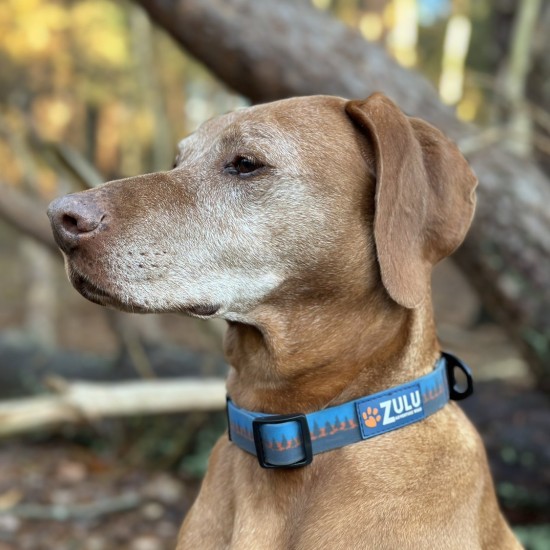 Zulu Adventure Dog Collar - waterproof - no stretch - wipe clean